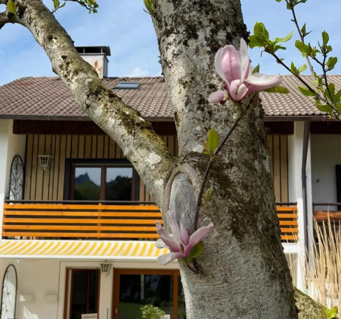 바트라이셴할 Haus Sonnenschein 빌라